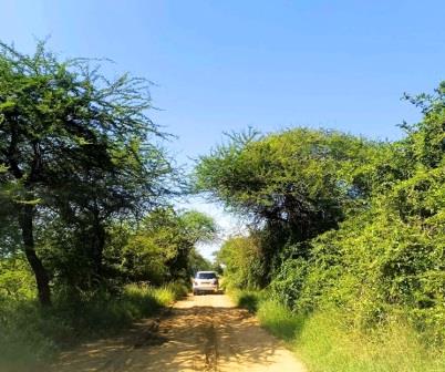 Nguuni Nature Sanctuary(生态公园 / 海洋保护)-非行家旅行-Africa Wild Wander