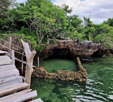 Blue Monkey Cottages（住宿餐饮 / 休闲设施）-非行家旅行-Africa Wild Wander