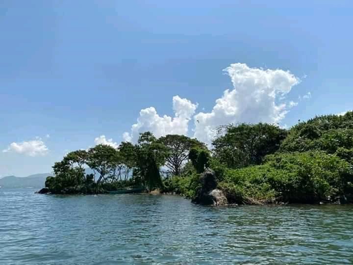 Mbasa Island（水系 / 湖泊 / 海岸）-非行家旅行-Africa Wild Wander