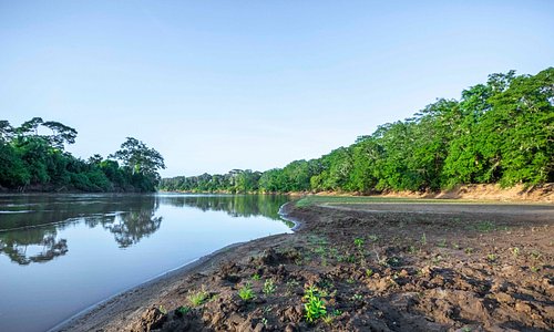 Tana Primate Reserve（水系 / 湖泊 / 海岸）-非行家旅行-Africa Wild Wander
