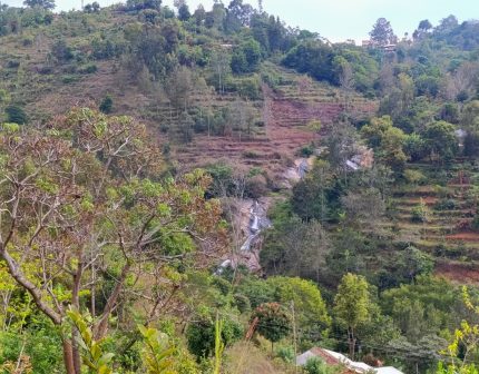 Kilangarenyi Falls（Taita Hills / 高地文化）-非行家旅行-Africa Wild Wander