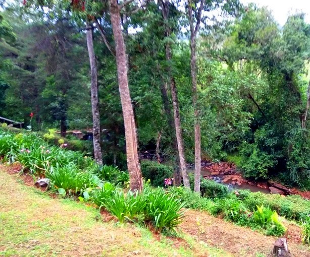 Kimugu River Lodge（水系 / 瀑布）-非行家旅行-Africa Wild Wander