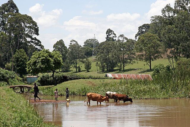 Nyabomite Falls（水系 / 湖泊 / 海岸）-非行家旅行-Africa Wild Wander