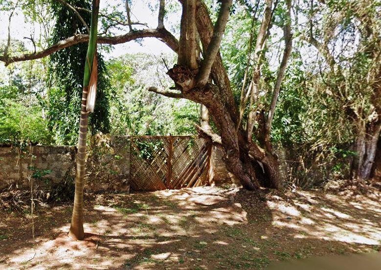 Mtwapa Ruins（水系 / 湖泊 / 海岸）-非行家旅行-Africa Wild Wander