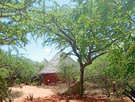 Rukinga Wildlife Sanctuary（保护地 / 私营保护区）-非行家旅行-Africa Wild Wander