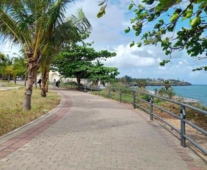 Mama Ngina Waterfront Park（Mama Ngina 海滨公园）-非行家旅行-Africa Wild Wander