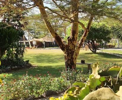 Swara Plains Conservancy（斯瓦拉平原保护地）-非行家旅行-Africa Wild Wander