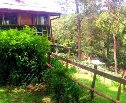 Kimugu River Lodge（水系 / 瀑布）-非行家旅行-Africa Wild Wander