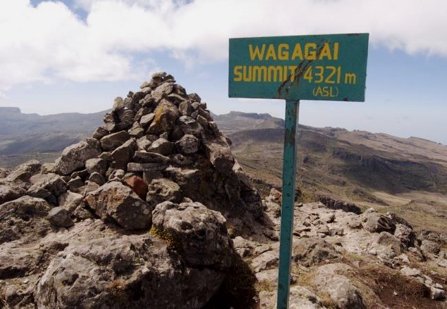 Wagagai Peak Hike（瓦加盖峰徒步）-非行家旅行-Africa Wild Wander