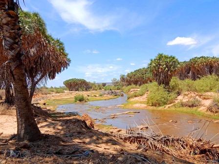 Tsavo East National Park（察沃东国家公园）-非行家旅行-Africa Wild Wander