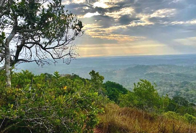 Shimba Hills National Reserve(辛巴山国家保护区)-非行家旅行-Africa Wild Wander