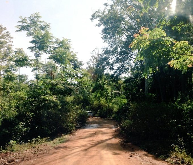 Kodera Forest（水系 / 湖泊 / 海岸）-非行家旅行-Africa Wild Wander