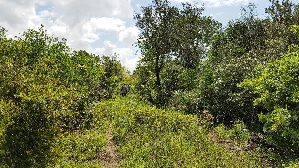 Dakatcha Woodland（水系 / 湖泊 / 海岸）-非行家旅行-Africa Wild Wander
