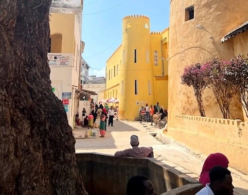 Lamu Market（文化活动 / 日常生活）-非行家旅行-Africa Wild Wander