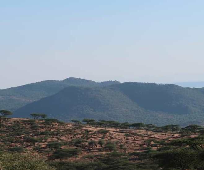 Oldonyiro Conservancy（国家公园 / 保护区 / Safari）-非行家旅行-Africa Wild Wander