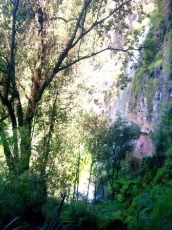 Wanjohi Falls（瀑布 / 森林水系）-非行家旅行-Africa Wild Wander