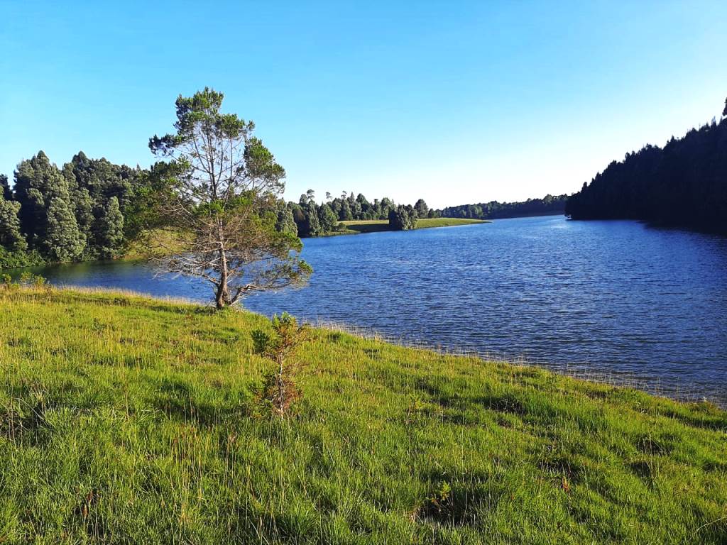 Sasumua Dam（萨苏穆阿水库）-非行家旅行-Africa Wild Wander