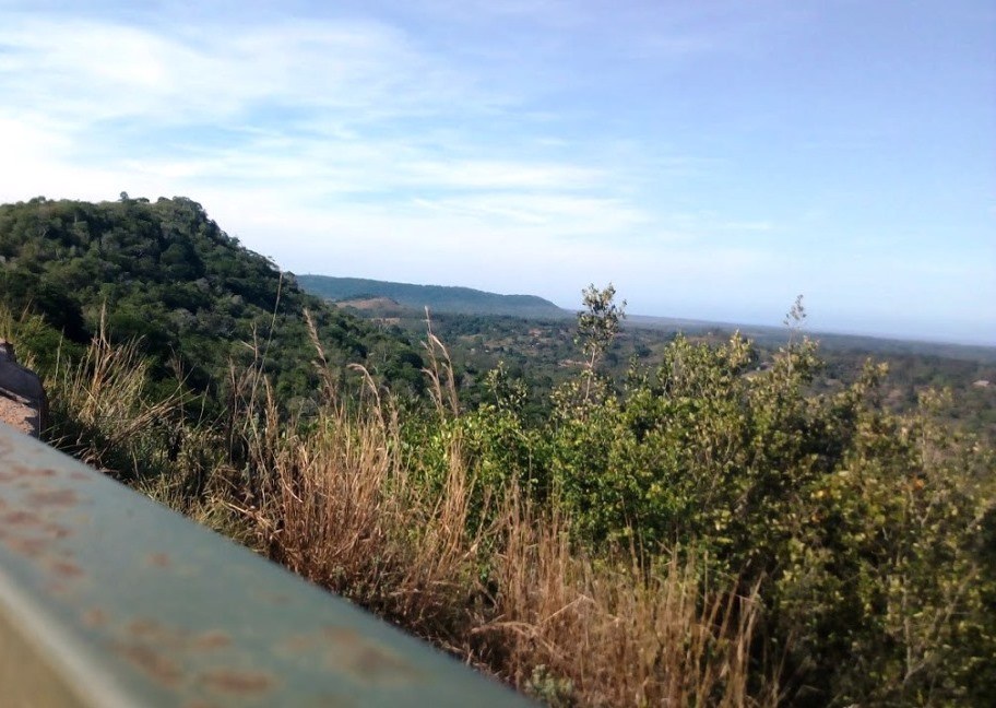 Elephant Lookout（保护区 / 野生动物）-非行家旅行-Africa Wild Wander