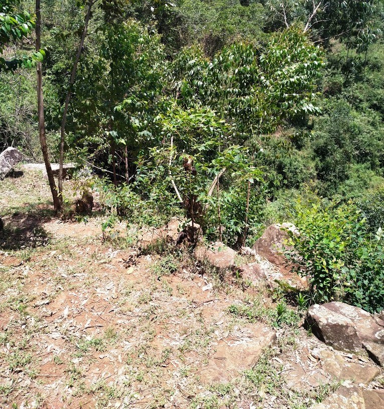 Nyamira Falls（水系 / 湖泊 / 海岸）-非行家旅行-Africa Wild Wander