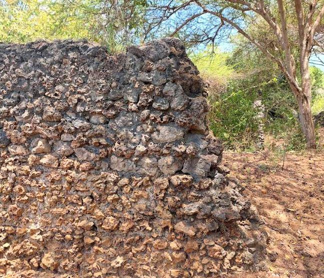 Shanga Ruins（尚加遗址）-非行家旅行-Africa Wild Wander