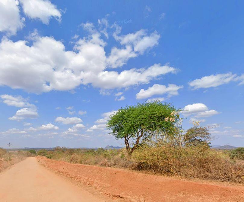 Muvaroa Hill Forest（穆瓦罗阿山森林）-非行家旅行-Africa Wild Wander
