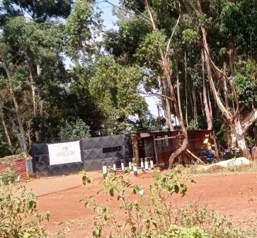 Mount Elgon Orchards（埃尔贡山果园）-非行家旅行-Africa Wild Wander