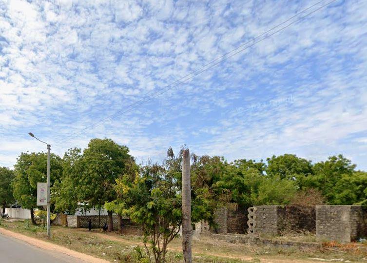 Diani Mosque（海滩 / 岛屿）-非行家旅行-Africa Wild Wander