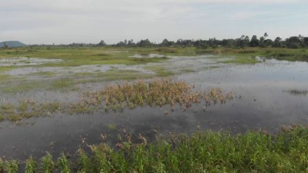River Nzoia（水系 / 湖泊 / 海岸）-非行家旅行-Africa Wild Wander