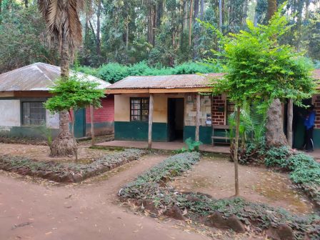 Mbooni Hills（姆博尼山地）-非行家旅行-Africa Wild Wander