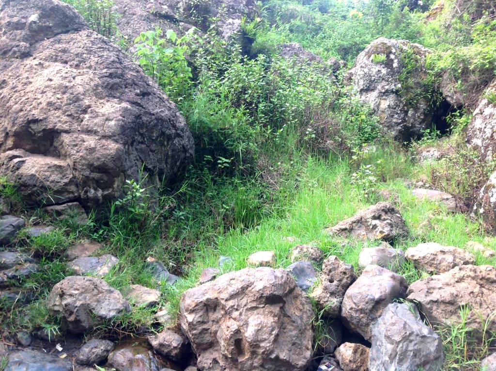 Keben Spring Water（产业 / 地方资源）-非行家旅行-Africa Wild Wander