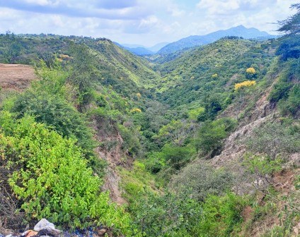 Ikoo Valley（伊库谷）-非行家旅行-Africa Wild Wander