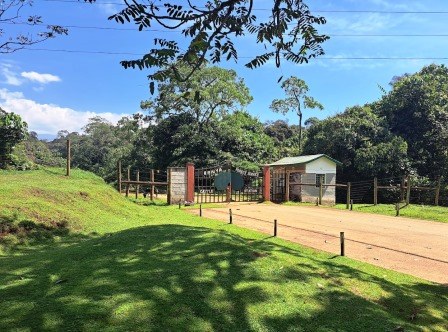 Castle Falls（城堡瀑布）-非行家旅行-Africa Wild Wander