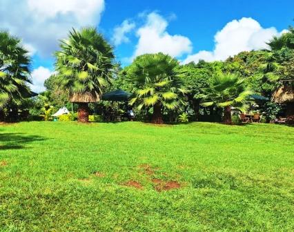 Tredds Garden（Tredds 花园）-非行家旅行-Africa Wild Wander