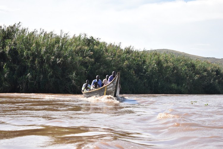 Budalang'i Forest（自然景观 / 徒步）-非行家旅行-Africa Wild Wander