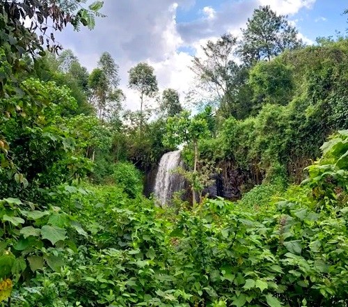 Chereres Falls（水系 / 瀑布）-非行家旅行-Africa Wild Wander