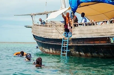 Pilli Pipa Dhow（海洋保护 / 海岛体验）-非行家旅行-Africa Wild Wander