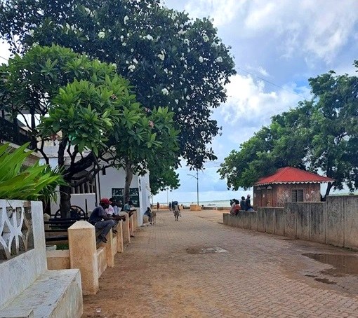 Lamu Catholic Church（宗教与学术传统）-非行家旅行-Africa Wild Wander