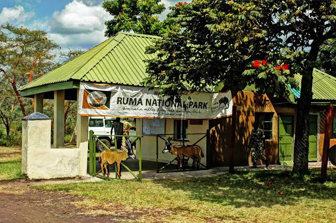 Ruma National Park（水系 / 湖泊 / 海岸）-非行家旅行-Africa Wild Wander