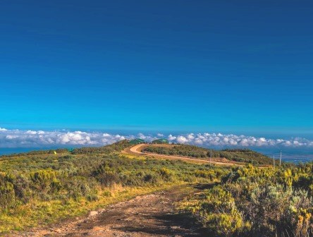 Mount Kenya One-Day Trip（Mount Kenya / 高山路线）-非行家旅行-Africa Wild Wander
