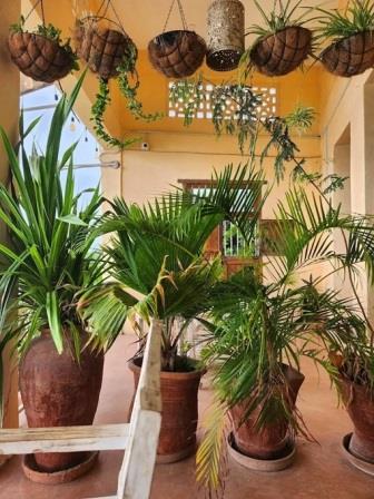 Tulia Backpackers（餐饮住宿 / 城市休闲）-非行家旅行-Africa Wild Wander