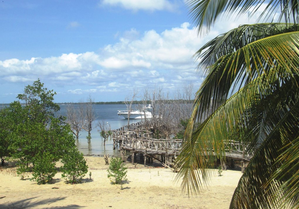 Funzi Island（芬齐岛）-非行家旅行-Africa Wild Wander