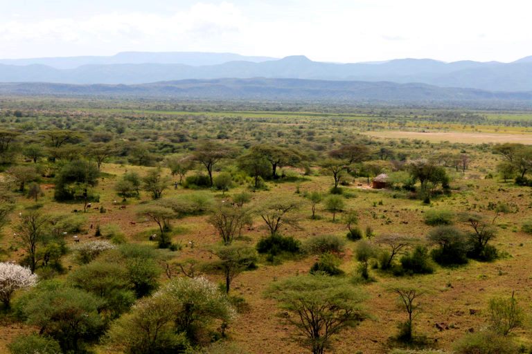 Baringo County（巴林戈县）-非行家旅行-Africa Wild Wander