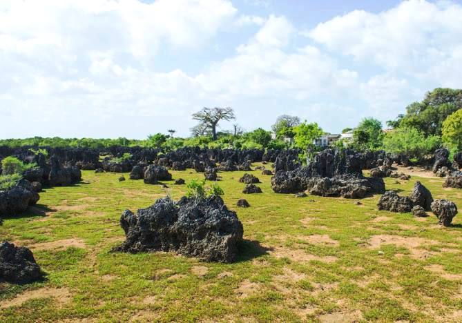 Wasini Island（瓦西尼岛）-非行家旅行-Africa Wild Wander