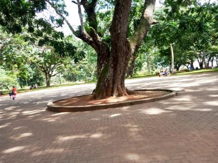 Baraza Park（住宿餐饮 / 休闲设施）-非行家旅行-Africa Wild Wander