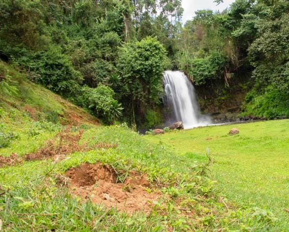 Kiburi Farm（基布里农场）-非行家旅行-Africa Wild Wander