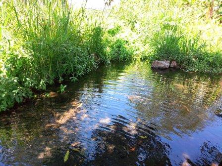 Kivungoni Springs（Kibwezi / Umani / Safari）-非行家旅行-Africa Wild Wander