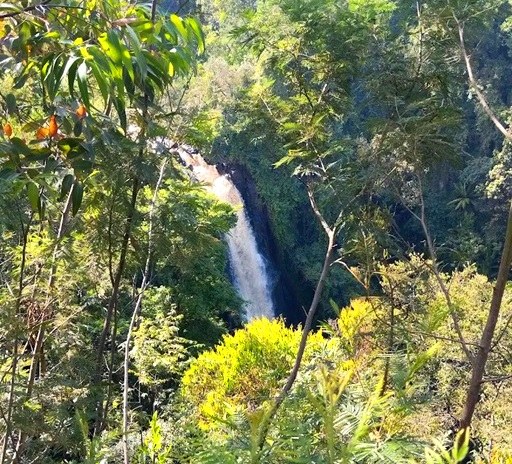 Londiani Falls（水系 / 瀑布）-非行家旅行-Africa Wild Wander