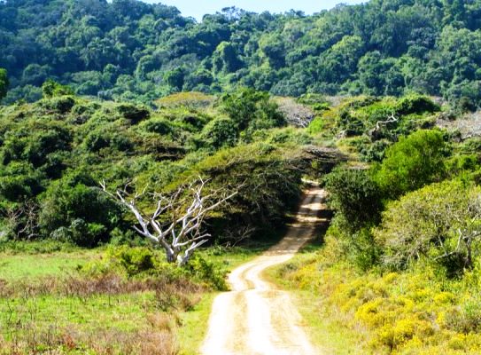 Dakatcha Woodland（水系 / 湖泊 / 海岸）-非行家旅行-Africa Wild Wander