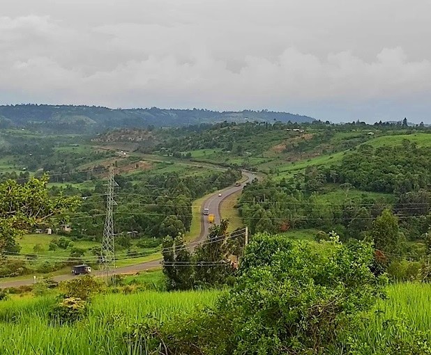 Ole Soi Resort（住宿 / 休闲设施）-非行家旅行-Africa Wild Wander