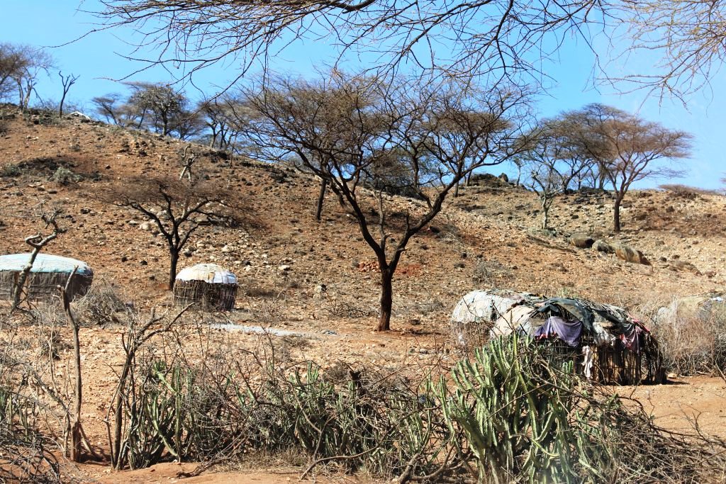 El Barta Plains（山地 / 高原 / 荒漠地貌）-非行家旅行-Africa Wild Wander